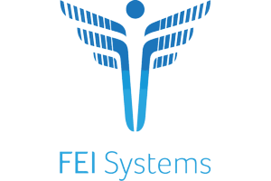 FEI Systems : 